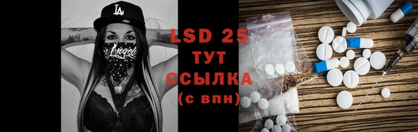 твердый Инсар
