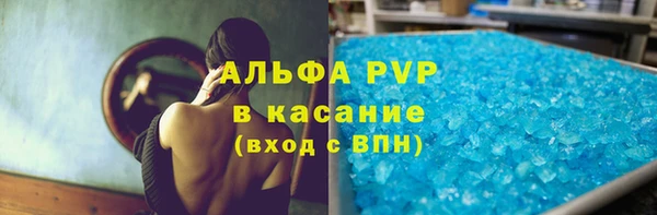 твердый Инсар