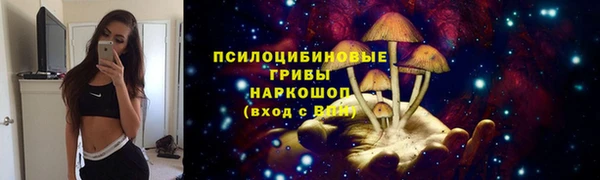 твердый Инсар