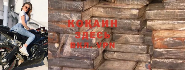 твердый Инсар