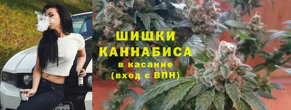 эйфоретик Инта