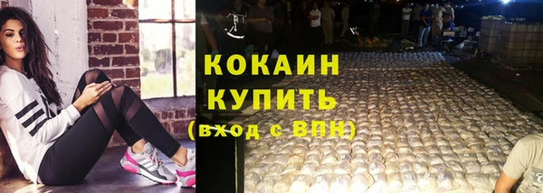 хмурый Каменка