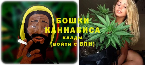 хмурый Каменка
