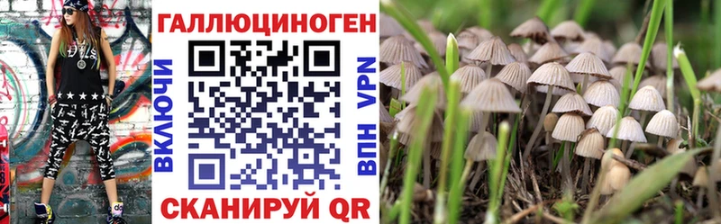 Купить где Навашино Псилоцибиновые грибы Magic Shrooms