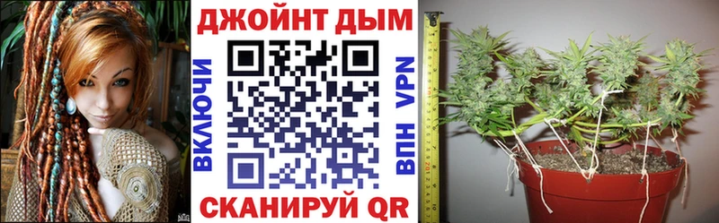 Конопля планчик  Купить где  Навашино 